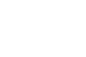 Asquith-Fox-11